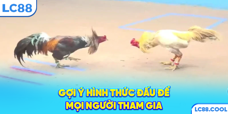 Gợi ý hình thức đấu để mọi người tham gia