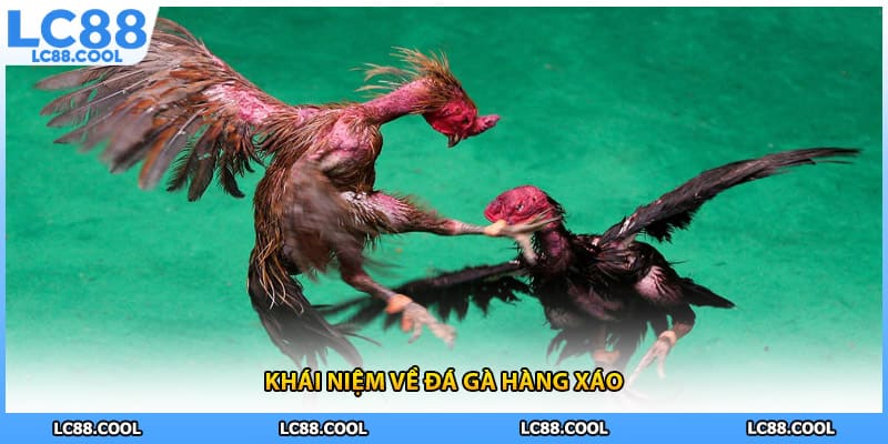 Khái niệm về đá gà hàng xáo