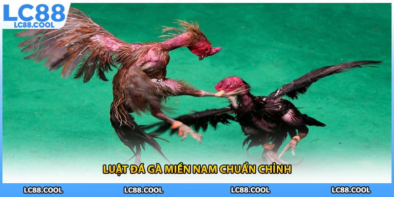 Luật đá gà miền nam chuẩn chỉnh