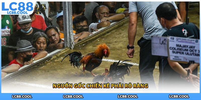 Nguồn gốc chiến kê phải rõ ràng