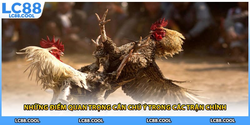 Những điểm quan trọng cần chú ý trong các trận chính