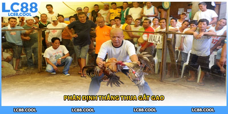 Phân định thắng thua gắt gao