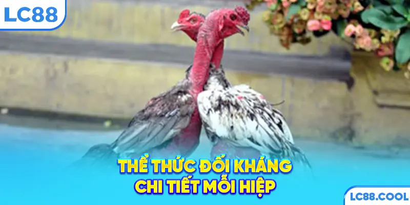 Thể thức đối kháng chi tiết mỗi hiệp